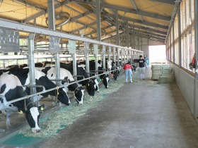 牛舎の写真