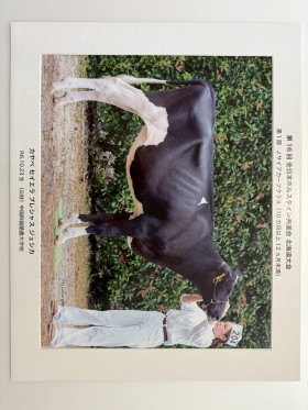 カヤベ セイエラ プレシヤス ジェシカ